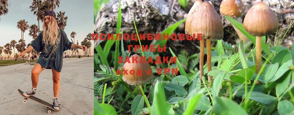 MDMA Premium VHQ Новокубанск