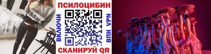 Галлюциногенные грибы мицелий  Рассказово 
