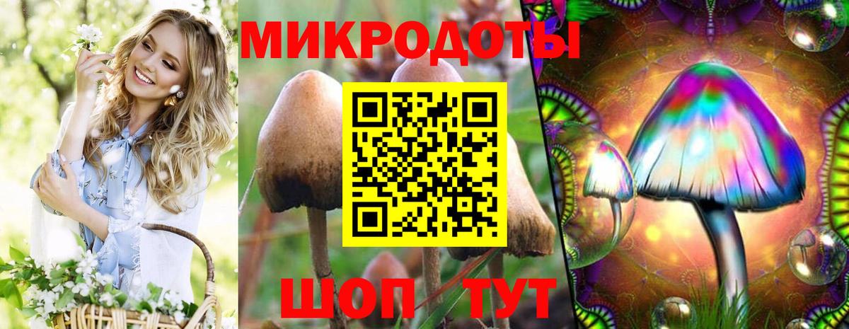 Галлюциногенные грибы ЛСД  Псилоцибиновые грибы Magic Shrooms  Рассказово  Вход с VPN 